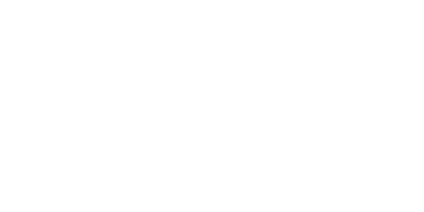 VIA gaming provider logo