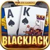 Black Jack card game by SW Casino